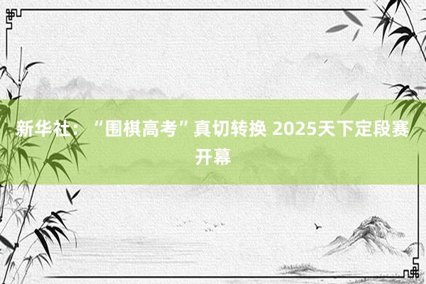 新华社:“围棋高考”真切转换 2025天下定段赛开幕