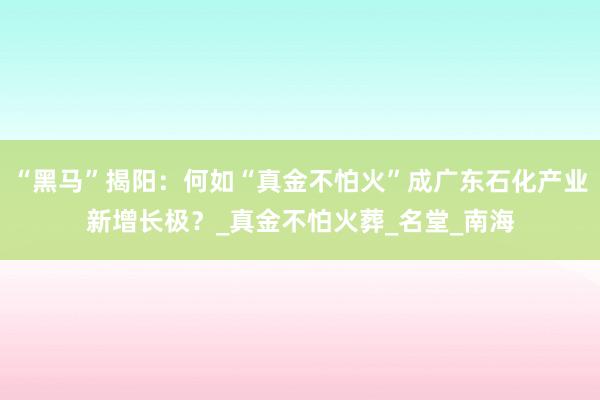 “黑马”揭阳：何如“真金不怕火”成广东石化产业新增长极？_真金不怕火葬_名堂_南海