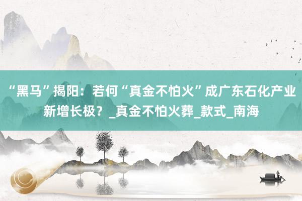 “黑马”揭阳：若何“真金不怕火”成广东石化产业新增长极？_真金不怕火葬_款式_南海