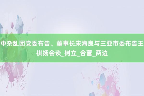 中杂乱团党委布告、董事长宋海良与三亚市委布告王祺扬会谈_树立_合营_两边
