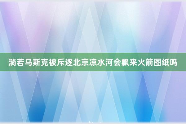 淌若马斯克被斥逐北京凉水河会飘来火箭图纸吗