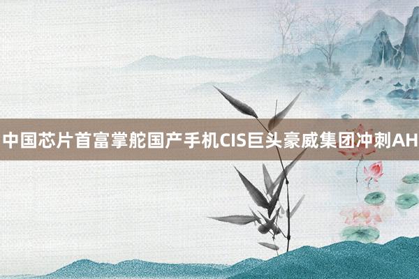 中国芯片首富掌舵国产手机CIS巨头豪威集团冲刺AH