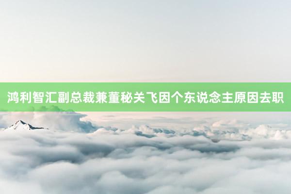 鸿利智汇副总裁兼董秘关飞因个东说念主原因去职