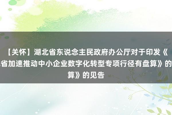 【关怀】湖北省东说念主民政府办公厅对于印发《湖北省加速推动中小企业数字化转型专项行径有盘算》的见告