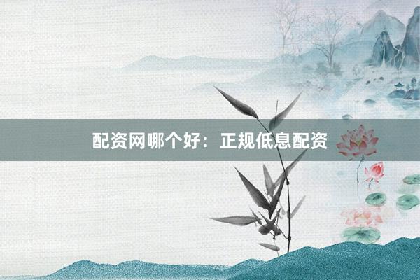 配资网哪个好：正规低息配资