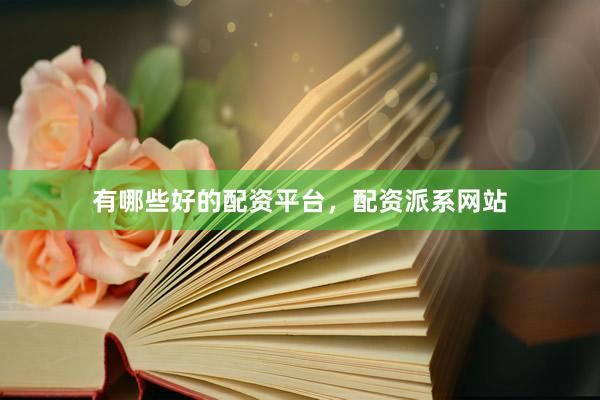 有哪些好的配资平台，配资派系网站