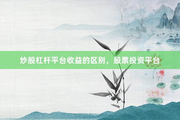炒股杠杆平台收益的区别，股票投资平台