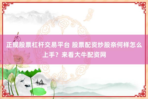 正规股票杠杆交易平台 股票配资炒股奈何样怎么上手？来看大牛配资网
