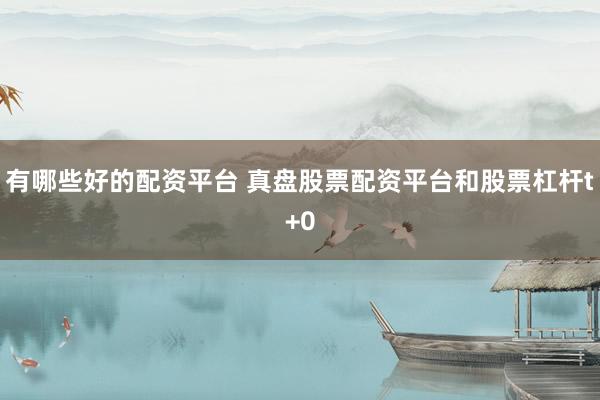 有哪些好的配资平台 真盘股票配资平台和股票杠杆t+0