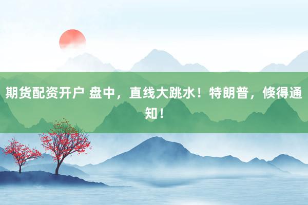 期货配资开户 盘中，直线大跳水！特朗普，倏得通知！