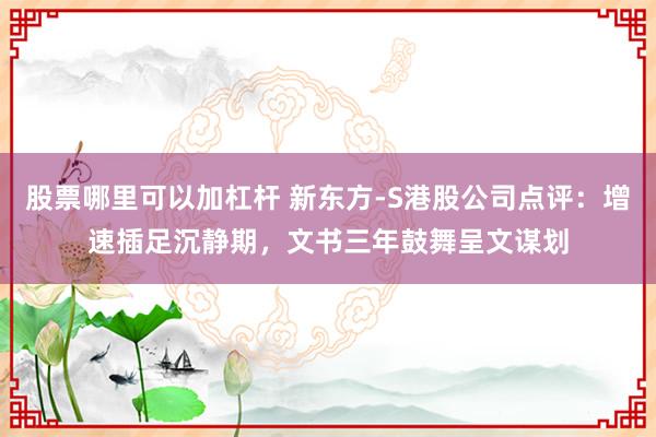 股票哪里可以加杠杆 新东方-S港股公司点评：增速插足沉静期，文书三年鼓舞呈文谋划