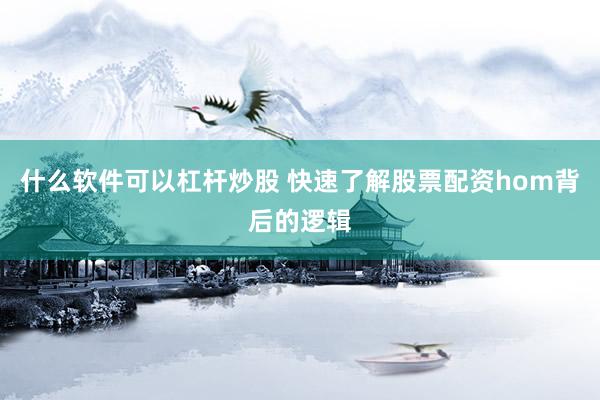 什么软件可以杠杆炒股 快速了解股票配资hom背后的逻辑
