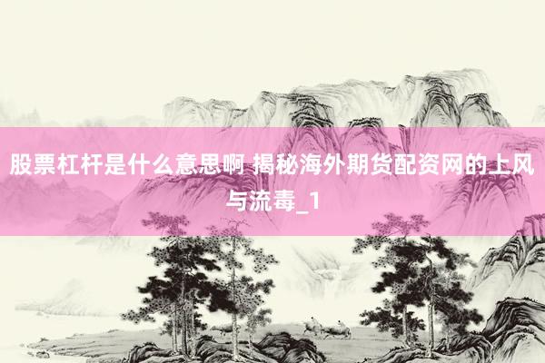 股票杠杆是什么意思啊 揭秘海外期货配资网的上风与流毒_1