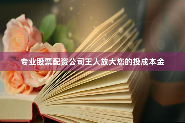 专业股票配资公司王人放大您的投成本金