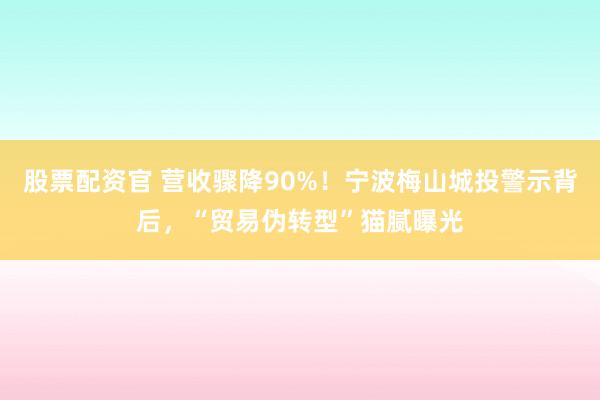 股票配资官 营收骤降90%！宁波梅山城投警示背后，“贸易伪转型”猫腻曝光