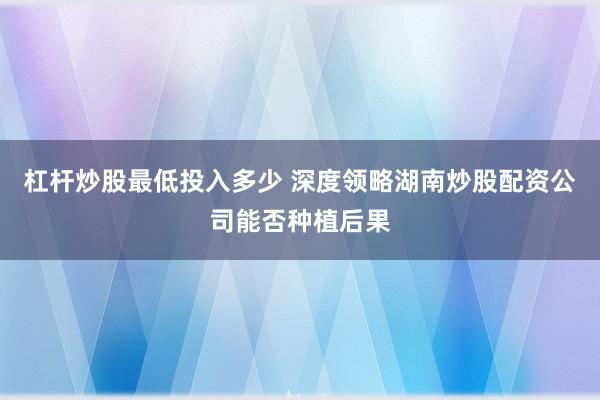 杠杆炒股最低投入多少 深度领略湖南炒股配资公司能否种植后果
