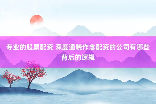 专业的股票配资 深度通晓作念配资的公司有哪些背后的逻辑