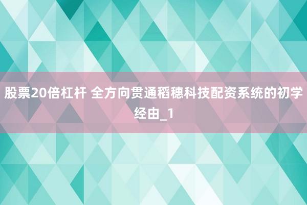 股票20倍杠杆 全方向贯通稻穗科技配资系统的初学经由_1