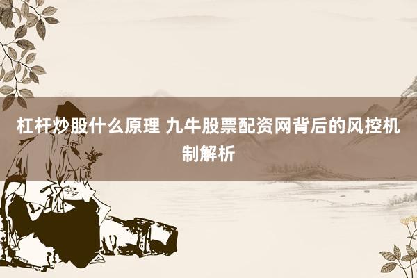 杠杆炒股什么原理 九牛股票配资网背后的风控机制解析