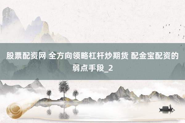 股票配资网 全方向领略杠杆炒期货 配金宝配资的弱点手段_2